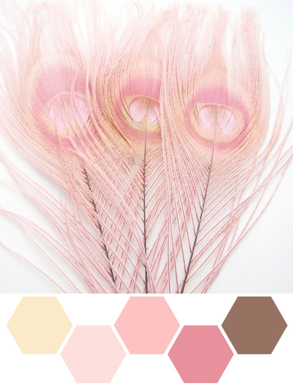 Inspired by Pink Feathers - Indie Wed
